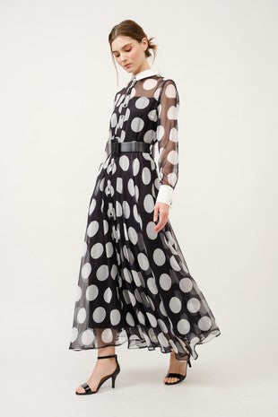 Chiffon Polka Dot Print Long-Sleeve Maxi Dress